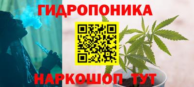 винт Вышний Волочёк