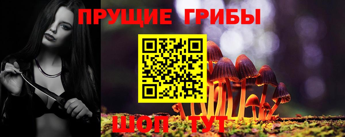 купить наркотик  Галлюциногенные грибы Psilocybe  Вход с VPN  Галлюциногенные грибы GOLDEN TEACHER  Елец 
